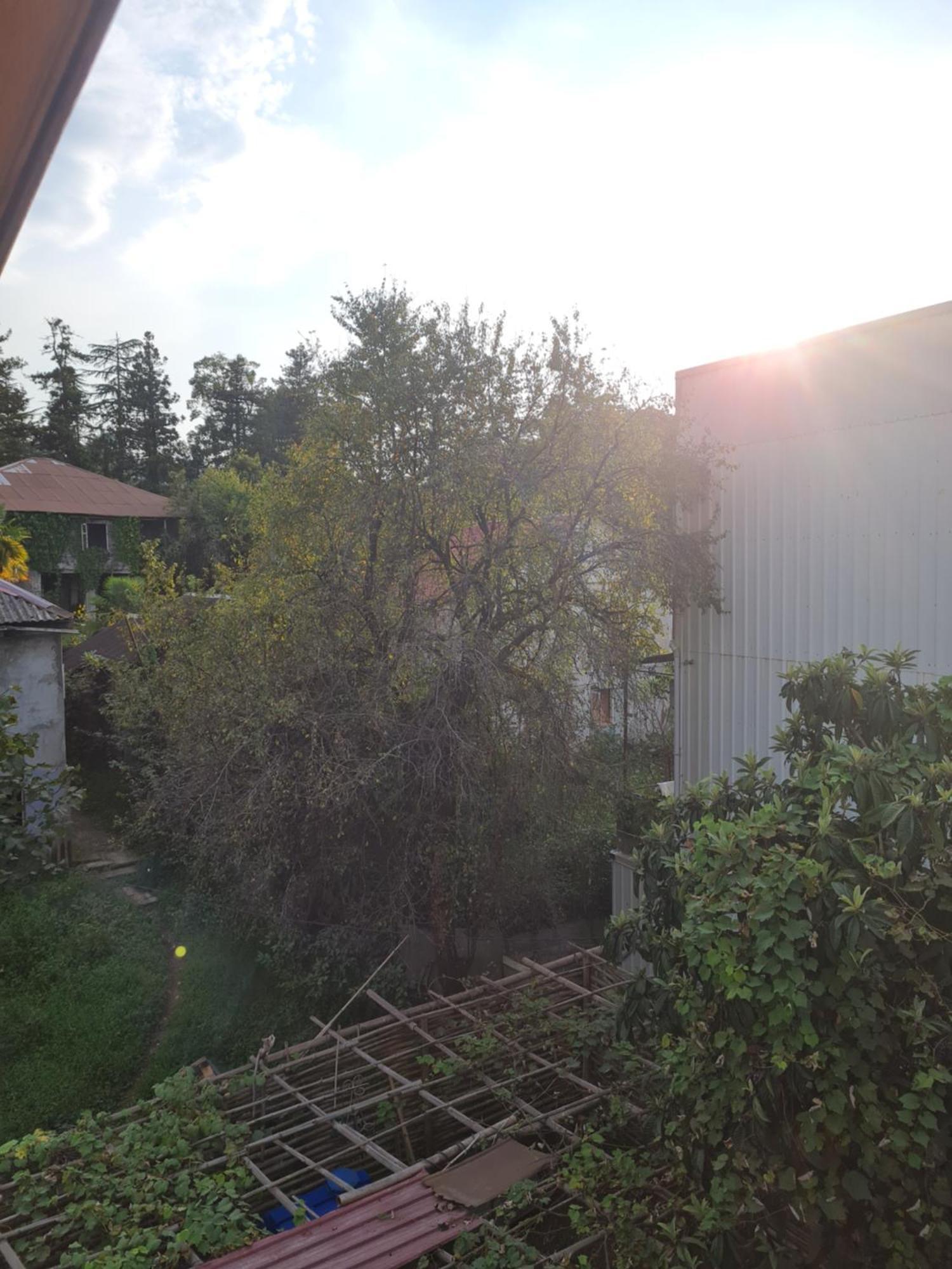 Merabi Guest House Makhinjauri Værelse billede